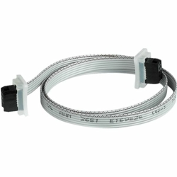 STAINLESS STEEL PUSH BUTTON WITH INNER CIRCLE LED ILLUMINATED + CONNECTION CABLE WITH CONNECTOR