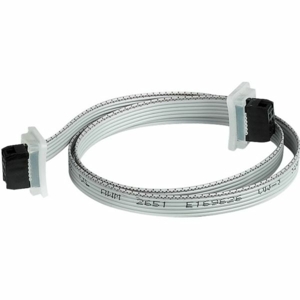 STAINLESS STEEL PUSH BUTTON WITH INNER CIRCLE LED ILLUMINATED + CONNECTION CABLE WITH CONNECTOR